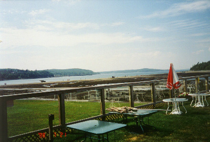 bar harbor low tide.JPG (60373 bytes)