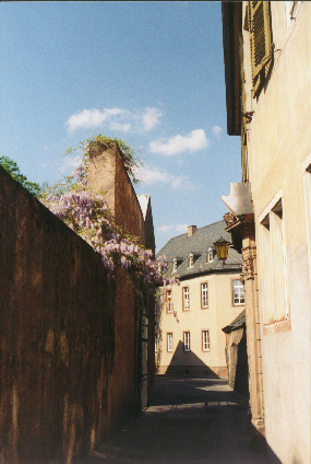 trier- alley behind dom wysteria.JPG (66818 bytes)