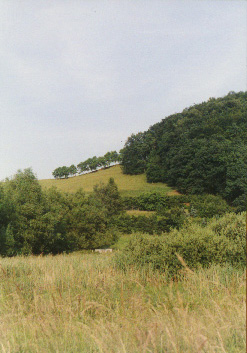 weilerbach-naturpark hill.JPG (50571 bytes)